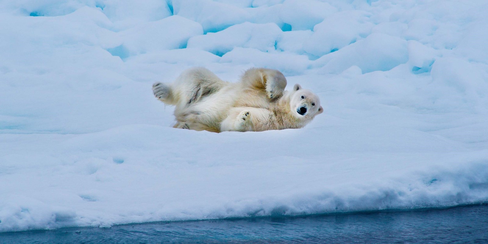 Svalbard Highlights - Photo 1