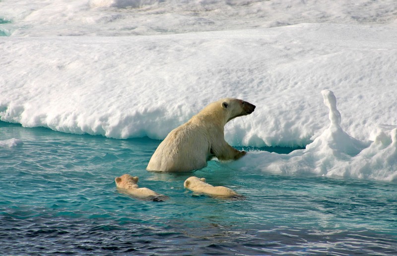 North Atlantic Expedition: A True Arctic Adventure - Photo 5
