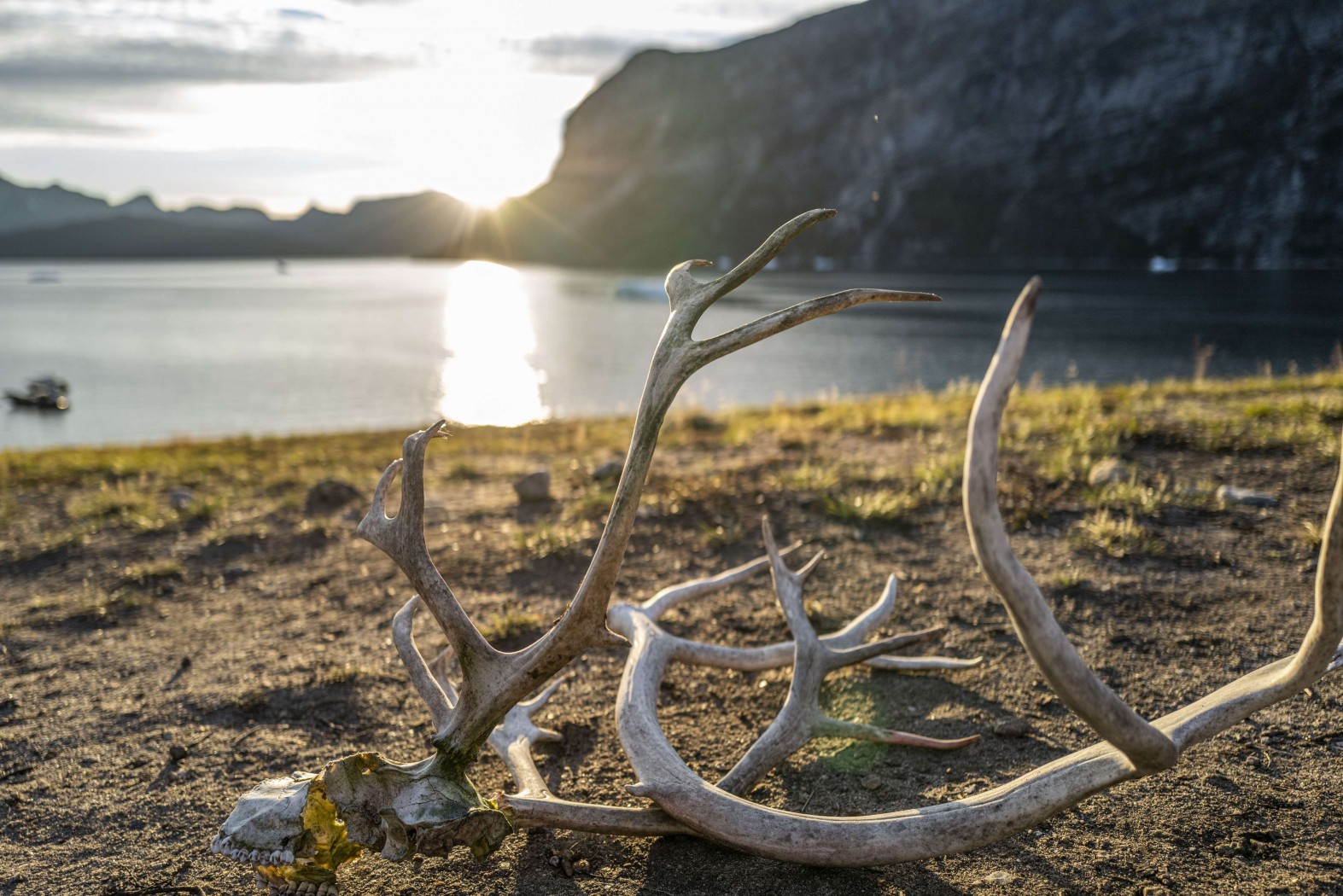 The Great Greenland Roundtrip - Photo 4