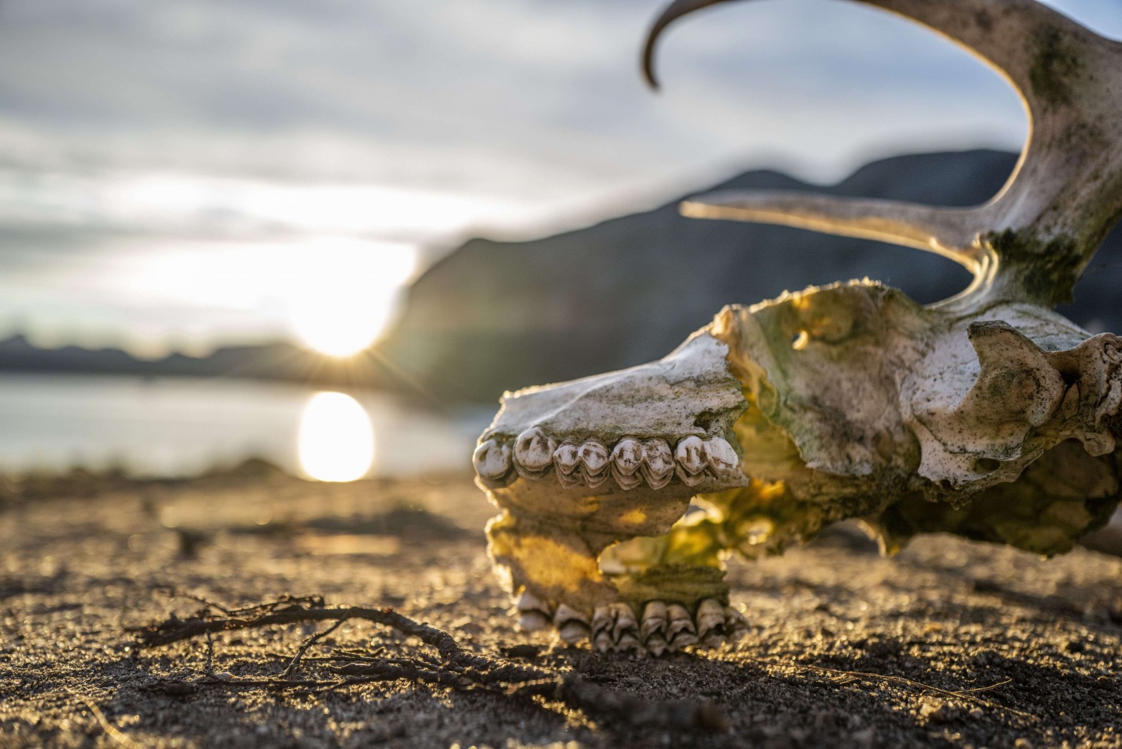 The Great Greenland Roundtrip - Photo 3