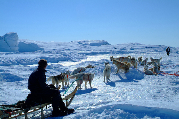 Greenland Highlights: Nuuk and Ilulissat - Photo 3