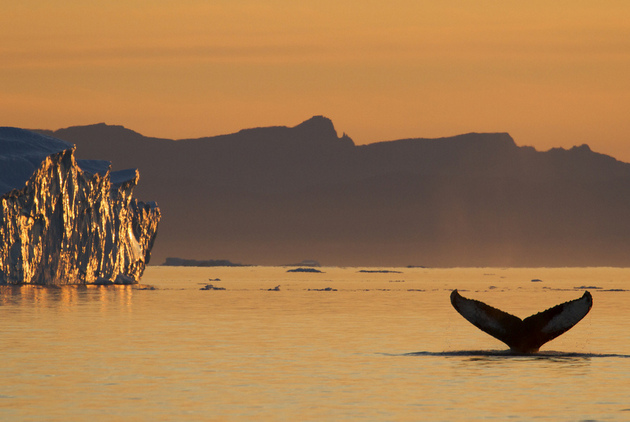 Ilulissat: Icebergs in the Midnight Sun - Photo 2