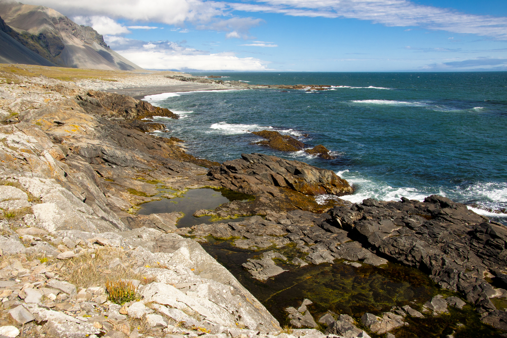 Iceland Circumnavigation Cruise 2024 - Photo 4