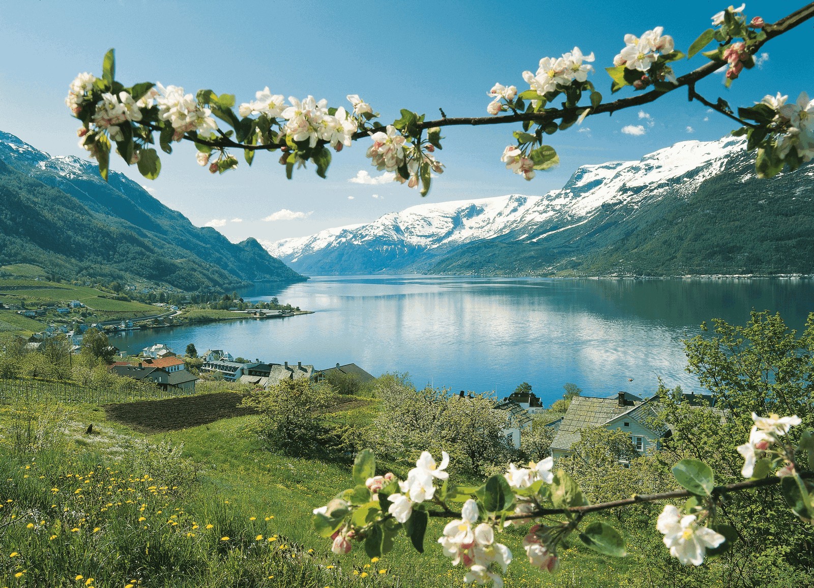 Grand Tour of Norway Fjords - Photo 1