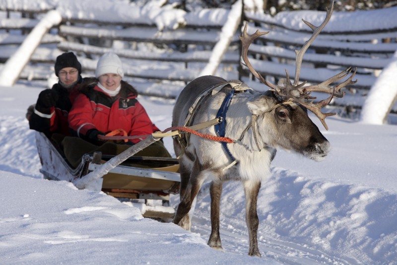 Best of Lapland & Norway in Nutshell - Photo 2