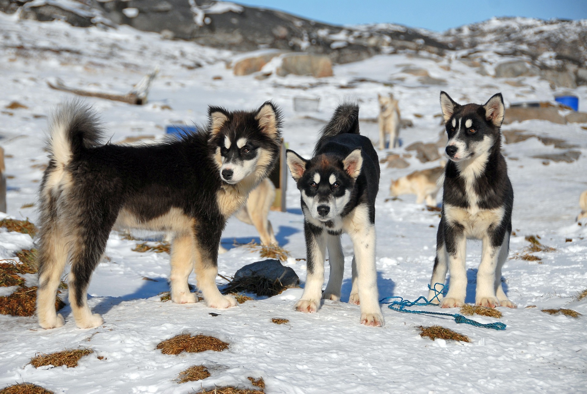 Extraordinary Long Weekend in Ilulissat - Photo 2